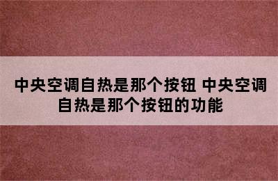 中央空调自热是那个按钮 中央空调自热是那个按钮的功能